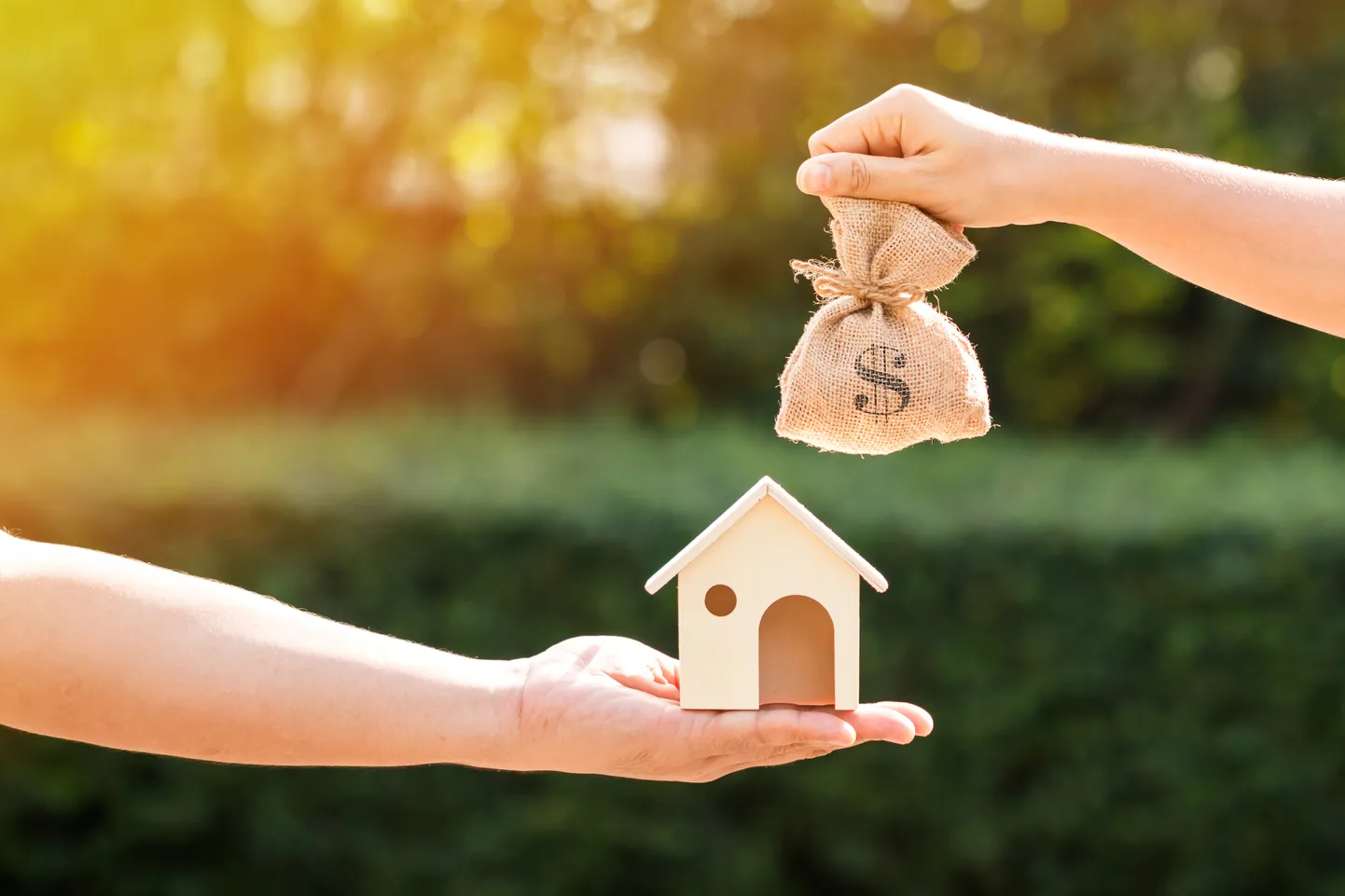 Financial education and support